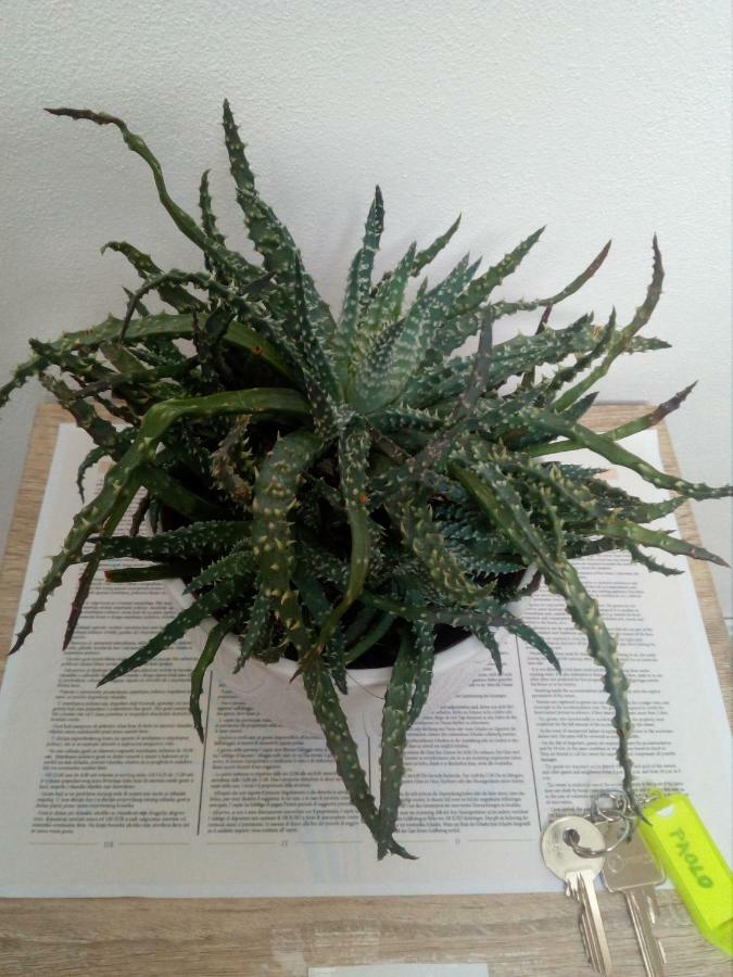 באלה Apartment Elena מראה חיצוני תמונה